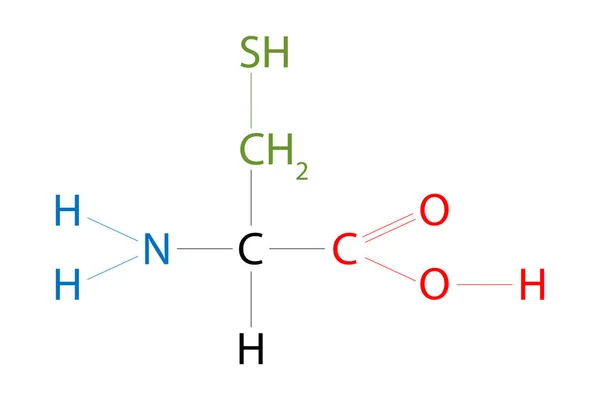 Δομή Της Κυστεΐνης Κυστεΐνη Είναι Ένα Αμινοξύ Που Έχει Μια — Διανυσματικό Αρχείο