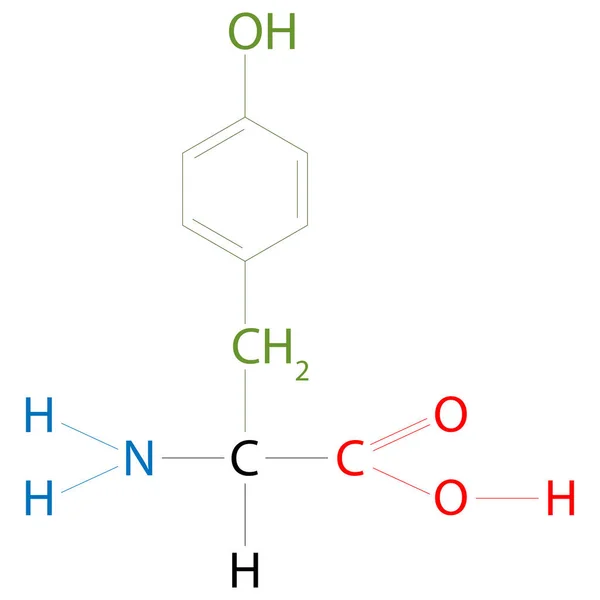 チロシンの構造 極側基を持つ非必須アミノ酸である — ストックベクタ