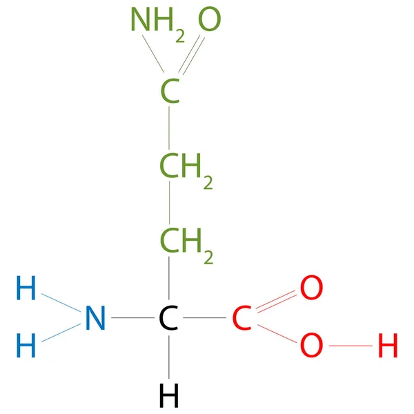 谷氨酰胺 氨基酸 的结构 它的侧链类似于谷氨酸的侧链 除了羧酸基团被酰胺取代外 — 图库照片