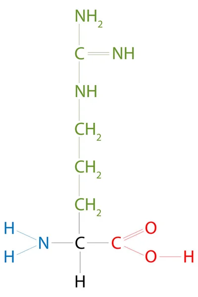 精氨酸的结构 精氨酸是一种氨基酸 — 图库照片