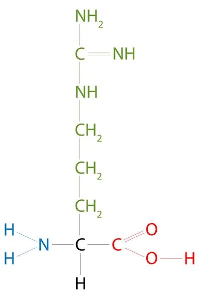 Die Struktur Von Arginin Arginin Ist Eine Aminosäure — Stockvektor