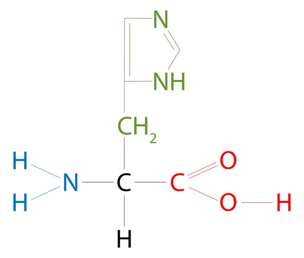 ヒスティディネ ヒスチジンはイミダゾール側鎖を持つアミノ酸である — ストック写真