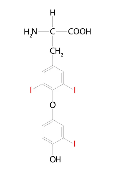 Triiodothyronine (T3).  One of the two major hormones secreted by the thyroid gland. Chemical formula.