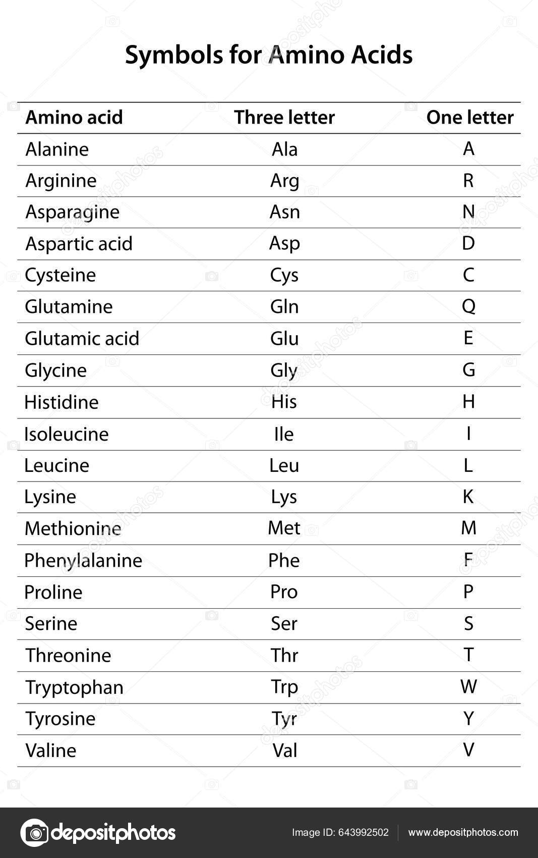 Three Letter One Letter Symbols Amino Acids Stock Vector by ...