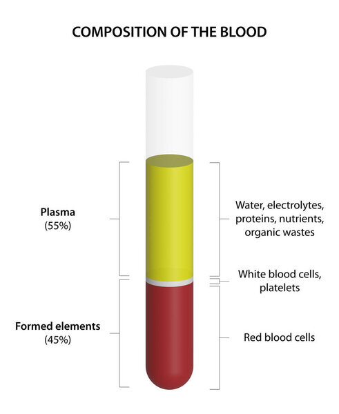 The Composition of Whole Blood