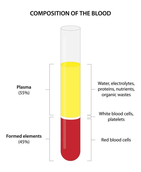 Composition Whole Blood — Stock Photo, Image