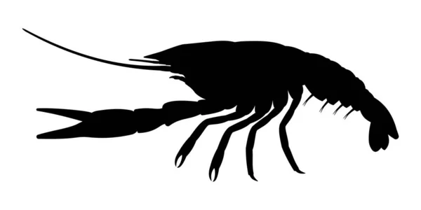 Crayfish Silhouette Illustration Crayfish — Stock Photo, Image