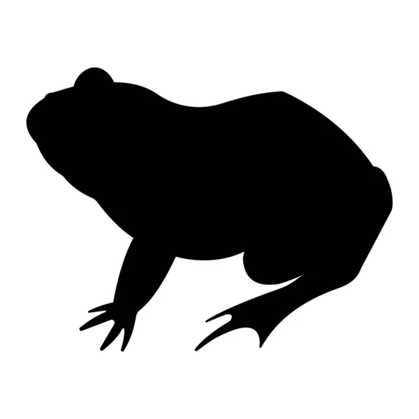 Frog Black Silhouette Vista Lateral — Fotografia de Stock