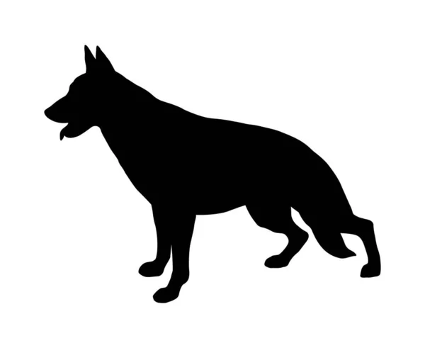 Černá Silueta German Shepherd Dog — Stock fotografie