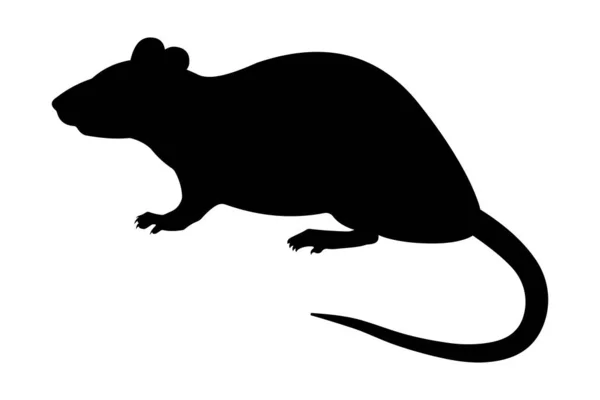 Пацюк Чорний Силует Rattus Norvegicus — стоковий вектор