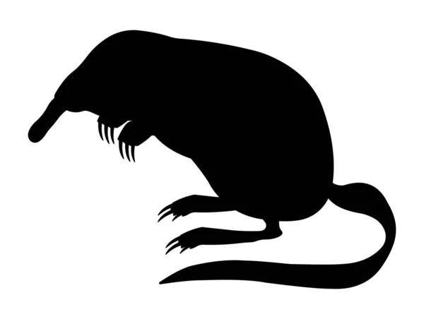 Θηλαστική Απεικόνιση Μαύρη Σιλουέτα Desman — Φωτογραφία Αρχείου