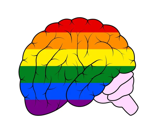 白人背景下Lgbt色彩的大脑 — 图库矢量图片