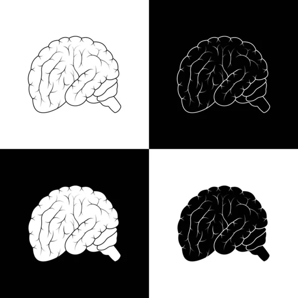 Das Menschliche Gehirn Auf Weißem Und Schwarzem Hintergrund — Stockfoto