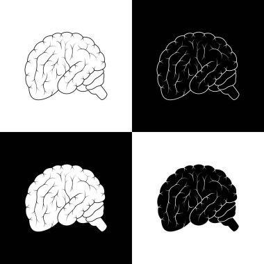 İnsan beyni beyaz ve siyah arka planda