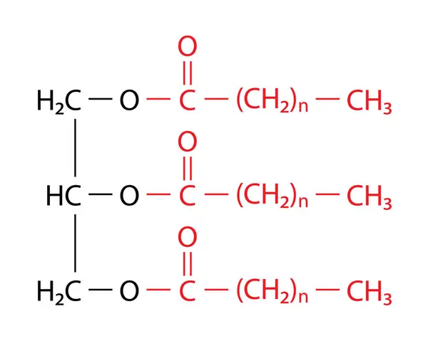 Triacylgliserol (trigliserit) diyet lipid 'in birincil biçimidir. Bir triasilgliserol (TAG) molekülünün genel yapısı.