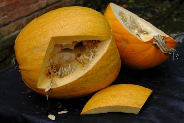 bir tablo üzerinde kabak