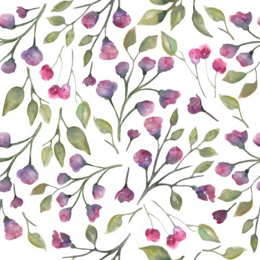 Soyut mor çiçekler, dallar, yapraklar ve böğürtlenlerle sulu boya deseni. Beyaz arka planda el çizimi çiçek resmi. Paketleme, paketleme tasarımı ya da baskı için. Vektör EPS.