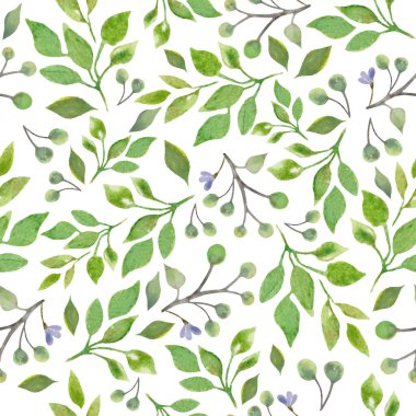 Soyut çiçekler, yapraklar ve böğürtlenlerle sulu boya deseni. Beyaz arka planda izole edilmiş el çizimi çiçek çizimi. Paketleme, ambalaj tasarımı ya da baskı için. Vektör EPS.