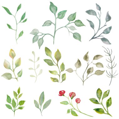 Soyut yeşil yapraklı suluboya seti, beyaz arkaplanda izole dallar. Kumaş tasarımınız, ambalaj kağıtlarınız, duvar kağıtlarınız, kartlarınız, posterleriniz için. El çizimi çizimi. Vektör EPS.