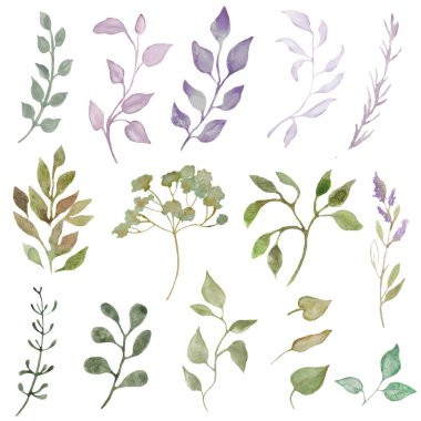 Soyut yeşil ve mor yapraklı suluboya seti, beyaz arkaplanda izole dallar. Kumaş tasarımı, ambalaj kağıtları, duvar kağıtları, kartlar, posterler için. El çizimi çizimi. Vektör EPS.