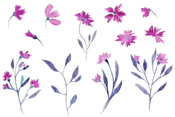 Акварельная Иллюстрация Абстрактными Фиолетовыми Цветами Ветвями Листьями Декоративные Цветочные Элементы — стоковый вектор