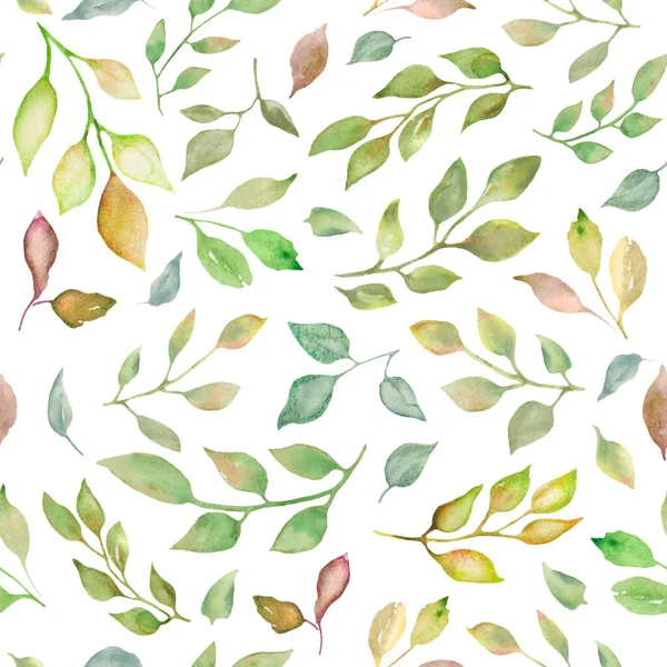 抽象的な葉 枝と水彩シームレスパターン 白地に描かれた花のイラストを手描き 包装デザインや印刷のために ベクトルEps — ストックベクタ