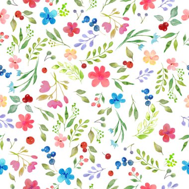  Çiçekler, yapraklar, dallar ve böğürtlenlerle sulu boya deseni. Beyaz arka planda izole edilmiş el çizimi çiçek çizimi. Paketleme, paketleme tasarımı veya yazdırma için.