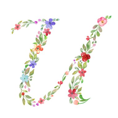  U harfinin baş harfleri suluboya çiçekler, yapraklar, dallar, böğürtlenler. Beyaz arkaplanda el çizimi çizimi izole edilmiş. Vektör EPS.