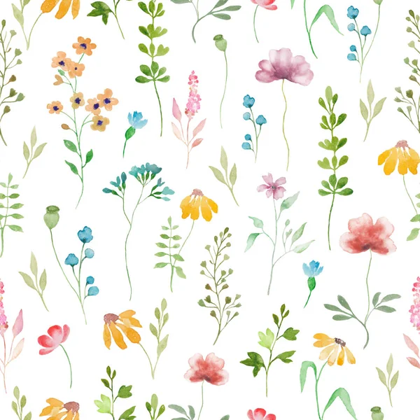 Watercolor Floral Seamless Pattern Wildflowers Hand Drawn Illustration Isolated White — Stock Vector