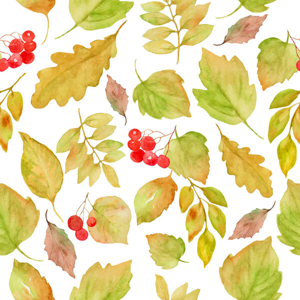  Watercolor floral seamless pattern. Hand drawn illustration isolated on white background.
