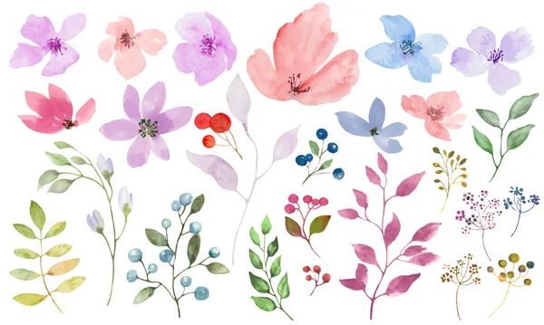 Suluboya Çiçek Seti Yapımı Çizimler Beyaz Arka Planda Izole Edilmiş — Stok Vektör