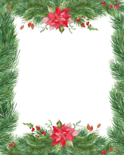 Watercolor Christmas frame. Hand drawn floral illustration with pine, poinsettia, holly, mistletoe isolated on white background