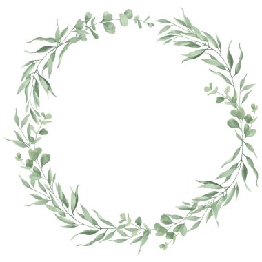  Okaliptüs yapraklı suluboya çelenk. Beyazın üzerine el çizimi illüstrasyon. Vektör EPS.