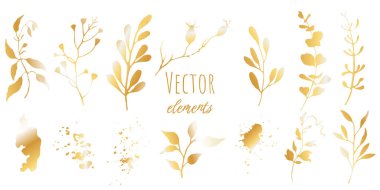 Çiçekli altın seti. Yapraklar, dallar, Rose kalçası, Eucaliptus. Vektör illüstrasyonu.