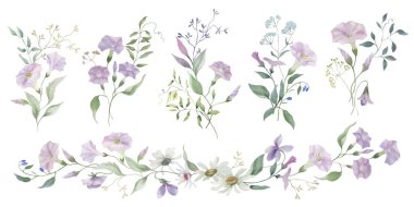 Suluboya çiçek seti. Şeffaf bir arkaplanda el çizimi çizimi. vektör EPS.