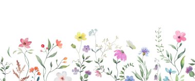 Kusursuz suluboya sınırı. Beyaz arka planda izole edilmiş el çizimi çiçek çizimi. Vektör EPS.