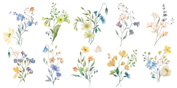 Conjunto Floral Acuarela Ilustración Dibujada Mano Aislada Sobre Fondo Transparente — Vector de stock