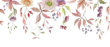 Çiçekli suluboya kenar. Yıldız çiçeği, terracotta ve beyaz arka planda izole edilmiş sarı yapraklı el çizimi sonbahar çizimi. Vektör EPS.