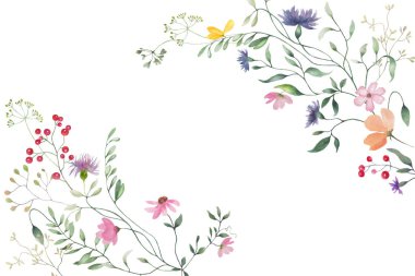  Yaban çiçekleriyle suluboya çerçeve. Beyaz arka planda izole edilmiş el çizimi çiçek çizimi. Vektör EPS.