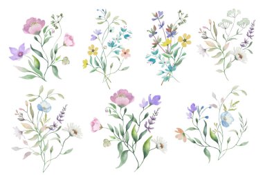 Suluboya çiçekli kompozisyonlar. El çizimi resimleme beyaz arkaplanda izole edildi.