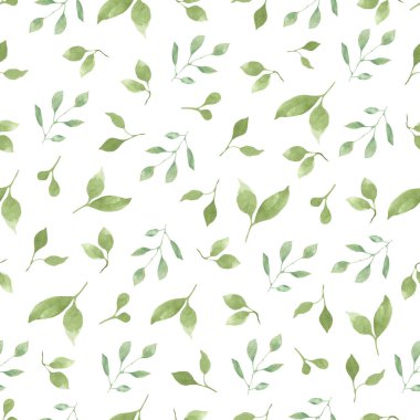 Kusursuz suluboya deseni. El çizimi resimleme beyaz arkaplanda izole edildi.