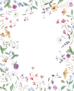  Yoncalı suluboya çerçeve, ekinezya, lavanta, bitkiler. Tebrik kartları için kır çiçeği arka planı, davetiye. El çizimi illüstrasyon. 