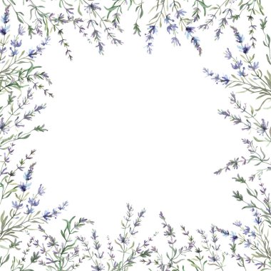 Lavantalı suluboya çiçek çerçevesi. El çizimi çizimi. Vektör EPS.