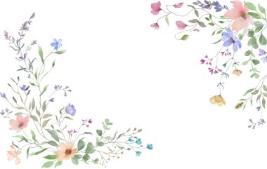 Narin kır çiçekleriyle suluboya çiçek çerçevesi. El çizimi çizimi. Vektör EPS. 