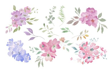 Suluboya çiçek seti. El çizimi çizimi. Davetler için, tebrik kartları Vektör EPS.