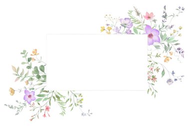 Yaban çiçekleriyle suluboya çerçeve, okaliptüs yaprakları, lavanta, bitkiler. El çizimi çiçek çizimi. Vektör EPS.