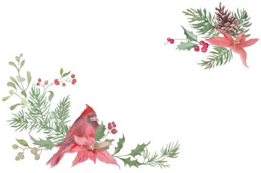 Suluboya Noel geçmişi. Kırmızı kardinal kuşu, çam dalları, böğürtlenli kutsal yapraklar, noktalı çiçekler, kozalaklar ve kış yeşilliği içeren el yapımı çizimler. Vektör EPS.