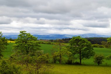 Tepe ve tarlalarla dolu gri bahar günü manzarası
