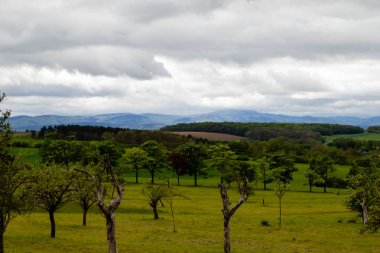 Ağaçlar, tepeler ve tarlalarla dolu gri bir bahar günü