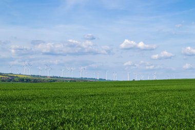 Uzakta rüzgar jeneratörleri olan yeşil alan manzarası